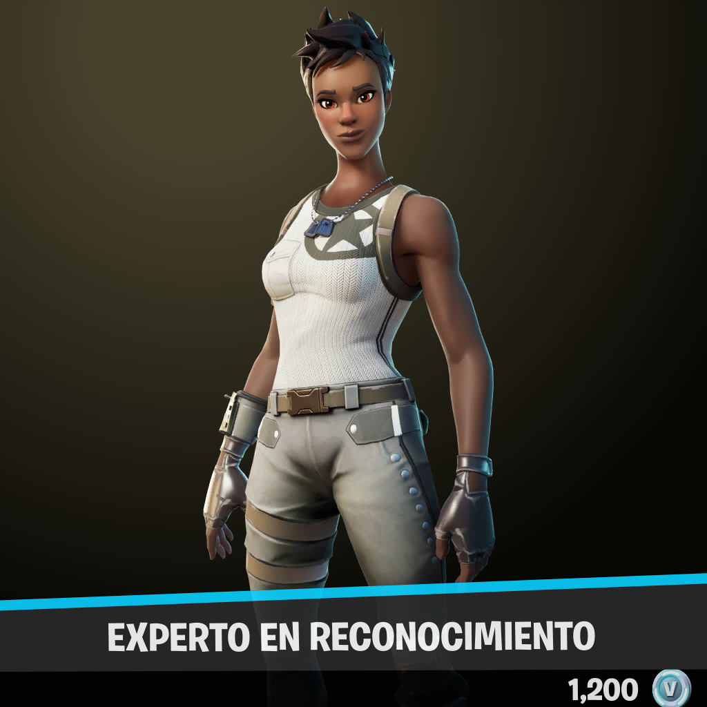 Experta en reconocimiento